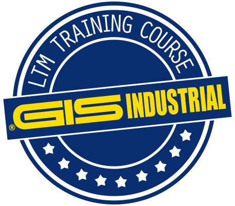 GIS Hoist Training - LTM Lift Turn Move